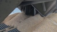 Украйна разполага със зърно за продан за около 10 млрд. долара, обяви президентът Зеленски