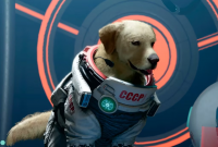 Мария Бакалова ще озвучи съветско куче космонавт в "Пазителите на галактиката" 3