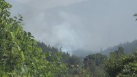 Пожарът между Калугерово и Лесичово обхваща над 1000 декара иглолистна гора