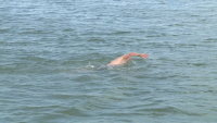90-годишен плувец чества юбилея си, като преплува 9 км в Дунав