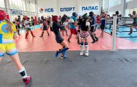 Националите по кикбокс тренират със световни шампиони от Украйна и Израел