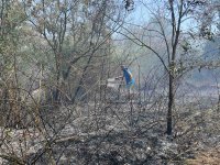 Пожарът край дюните в Несебър отново се разгоря