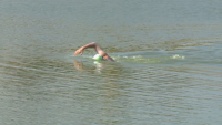 Българин е кандидат за нов рекорд на Гинес - 72 часа плуване без прекъсване
