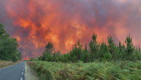 Пожари и в Европа - пламъци бушуват във Франция и Черна гора