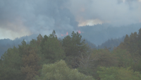 Локализиран е пожарът в Елшица, гасенето продължава