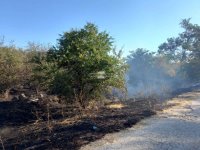 Пореден пожар в Сакар, гори край селата Оряхово и Васково