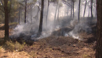 Пожарът край Сарагоса е унищожил около 8 хиляди хектара гори
