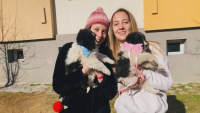 Близначки от Благоевград с благородна кауза - помагат на бездомни кучета