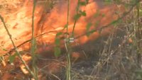 Голям пожар гори в Сакар планина, хеликоптер се включи в гасенето