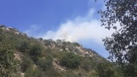 Пожар гори на Младежкия хълм в Пловдив (СНИМКИ+ВИДЕО)