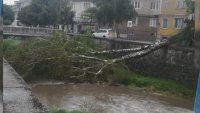 Какви са щетите след ураганния вятър и бурята в Петрич и Гоце Делчев?