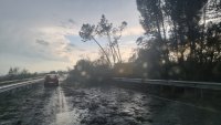 Отстраняват щетите по далекопроводите в района на Бургас