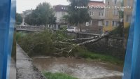 Силна буря спря тока в района на Гоце Делчев и събори дървета в Петрич и Сандански
