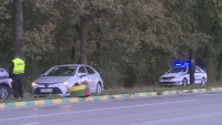 Специализирана полицейска операция се провежда в област Добрич