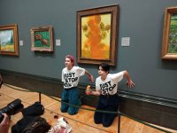 Екоактивисти заляха със супа "Слънчогледите" на Ван Гог