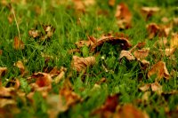 Златна есен: По-топло от обичайното ще е и днес