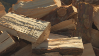 Кметът на Белица иска таван на цената на дървата за огрев