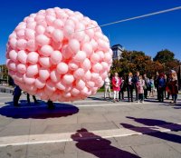 снимка 6 1200 розови балона полетяха в памет на жените, починали от рак на гърдата (Снимки)