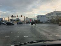 Кон се разхожда по натоварен софийски булевард в близост до летището