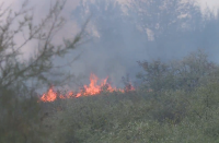 Пожар в района на полигон "Ново село", горят сухи листа и храсти (ВИДЕО)