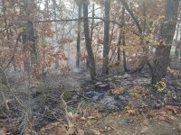 Пожар в Странджа, предполага се намесата на мигранти (СНИМКИ)