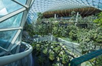 "Тропическа градина" на международното летище в Доха (Снимки)