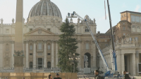 Скандал с коледното дърво на Ватикана