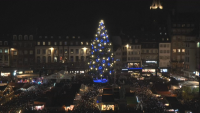Запалиха светлините на 30-метровото коледно дърво в Страсбург