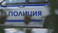 Разбиха група за данъчни измами в Пазарджик - продавала фиктивно трюфели