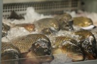 С традиционна рибена чорба русенци отбелязаха Никулден