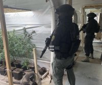 Разбиха две наркооранжерии при акции срещу дрогата в цялата страна, операциите продължават (СНИМКИ)