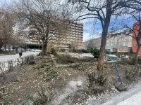 Пренасочват към 6 квартала парите за ремонт на Борисовата градина