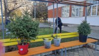 Деца се включиха в инициативата "Посади жива елха" в Бургас