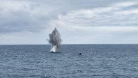 Военни водолази унищожиха още една плаваща мина в Черно море