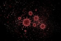 53 са новите случаи на коронавирус