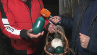 Тюркоазени яйца снесоха емутата в зоопарка в Бургас