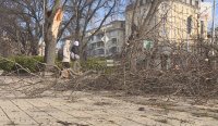 Бурен вятър скърши дървета и клони във Варна, отложени са полети (ВИДЕО)