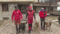 Първи разкази на българските спасители, които търсиха оцелели под развалините в Турция