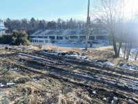 Скандали в Столичния общински съвет заради отсечените дървета в Борисовата градина