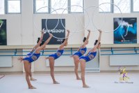 Представиха музиката за новите съчетания на ансамбъла по художествена гимнастика