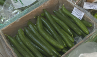 Рязък скок в цените на зеленчуците - краставиците стигнаха 7 лева