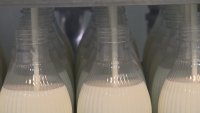 Производители: 1,15 лв. струва млякото днес, в магазина е над 3 лв. заради таксите на веригите