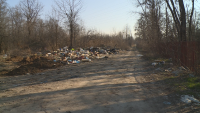 Почистват нерегламентирани сметища в Пловдивско
