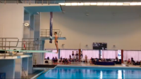 Състезателите ни по скокове във вода спечелиха 7 медала в Стокхолм