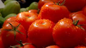 Турция спря износа на домати за ЕС, ще поскъпнат ли у нас?