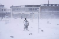 Арктически студ и сняг: Отменени полети и затворени училища във Великобритания и Швеция