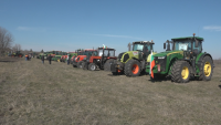 Земеделският министър призова ЕК да побърза с отварянето на селскостопанския резерв
