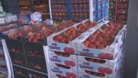 Как се движат цените на доматите от границата до магазина?