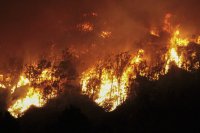 Горски пожари пламнаха в района на Валенсия