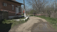 Глутница кучета уби жена в Долна Оряховица